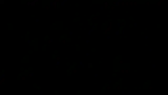 awesome anna online show from 03-19-25, 02:46