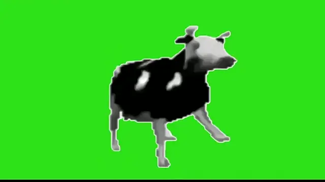 awesome anna online show from 02-13-26, 10:59