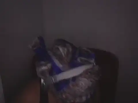 Makemymoney27 online show from 12-24-24, 02:01