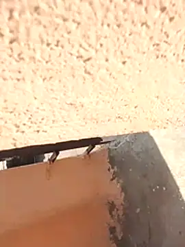 PracticalGum40 online show from 02-12-26, 06:13