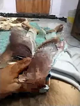 PracticalGum40 online show from 04-09-26, 06:03