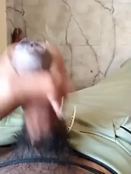 PracticalGum40 online show from 01-07-26, 03:11