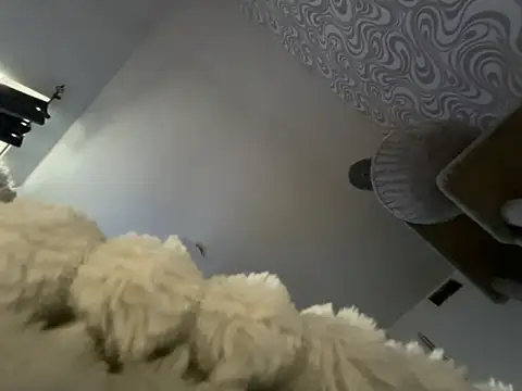 bunnyamy online show from 11-12-25, 11:03