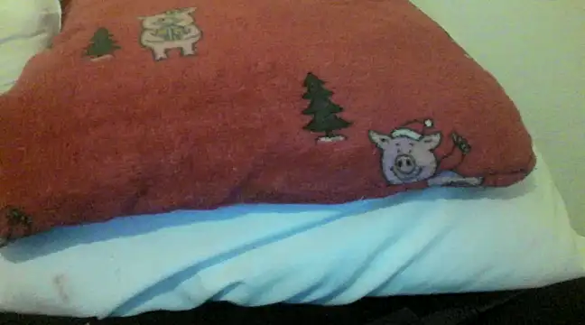 Snapshot of bunnyamy chatting on 12-05-24, 05:55 bunnyamy online show from 12-05-24, 05:55