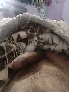 Noname333u online show from 12-18-25, 07:46