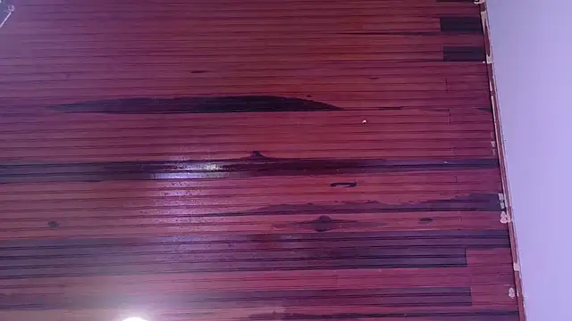  amy johnson online show from 02-28-25, 07:03