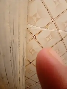 ken tanaka online show from 03-06-25, 05:03