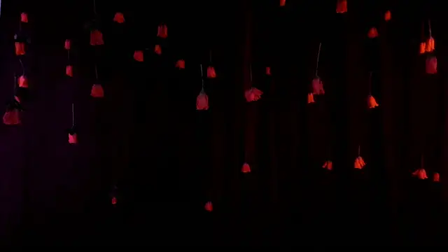 lnxmst online show from 02-14-26, 11:49