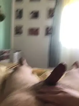 Polipo85 online show from 04-05-26, 08:32