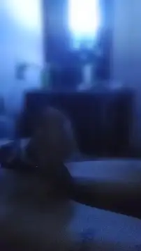 carloshot31 online show from 04-02-26, 10:33