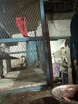 Snapshot of Skinny_Bigass_23 chatting on 02-10-25, 02:59 Skinny Bigass 23 online show from 02-10-25, 02:59