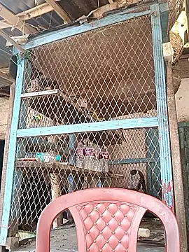 Snapshot of Skinny_Bigass_23 chatting on 02-03-26, 07:02 Skinny Bigass 23 online show from 02-03-26, 07:02