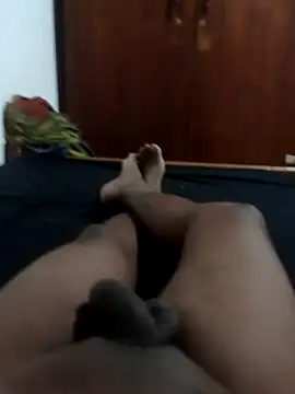 Snapshot of Sl_python chatting on 12-13-24, 05:10 Sl python online show from 12-13-24, 05:10