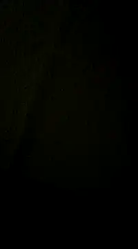 dvaughn3117 online show from 12-11-24, 04:28