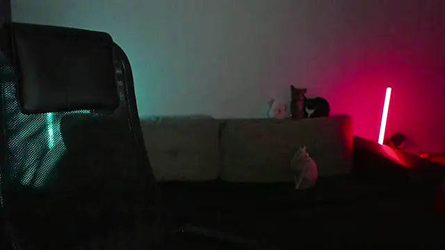 Ostin meow online show from 04-07-26, 02:30