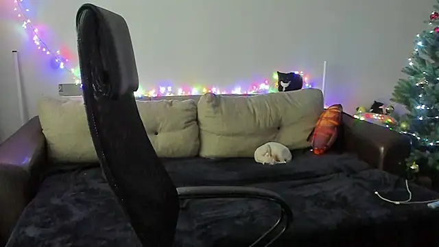 Ostin meow online show from 12-02-25, 08:38