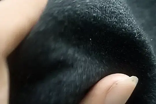 Telugu sollakaya online show from 12-02-24, 06:38