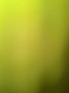 Snapshot of faaseel chatting on 03-11-25, 08:08 faaseel online show from 03-11-25, 08:08