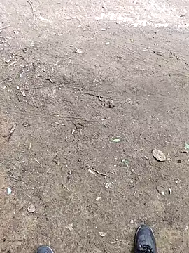 Snapshot of faaseel chatting on 10-08-25, 07:21 faaseel online show from 10-08-25, 07:21