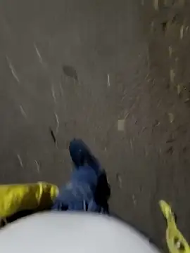 Snapshot of faaseel chatting on 11-03-25, 12:42 faaseel online show from 11-03-25, 12:42