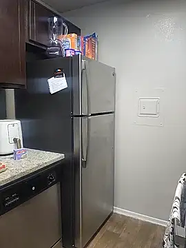 TwilightSiren online show from 01-11-25, 01:06