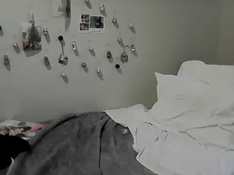 housewife shantie online show from 11-30-25, 12:17