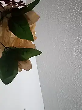 Naomy veracruz  online show from 02-24-26, 10:05