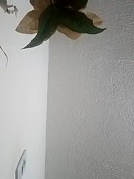 Naomy veracruz  online show from 04-12-26, 11:02