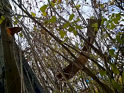 Fuckboy4public online show from 11-06-25, 05:39