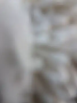 Snapshot of lemon69Reo chatting on 02-15-26, 08:41 lemon69Reo online show from 02-15-26, 08:41