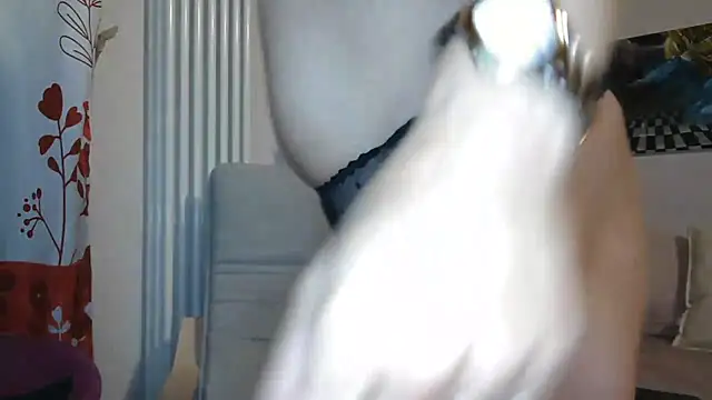 MISXY online show from 09-12-25, 08:36