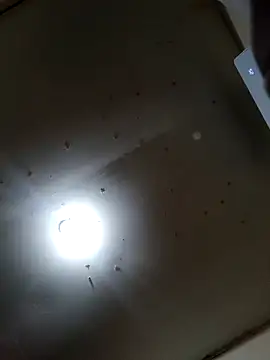 Innsaciable online show from 03-21-26, 11:03