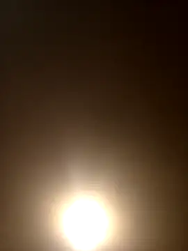 Morguisssz online show from 09-28-25, 11:55