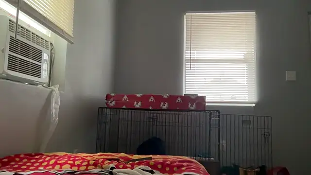 skarfosbabes69 online show from 03-23-26, 01:00