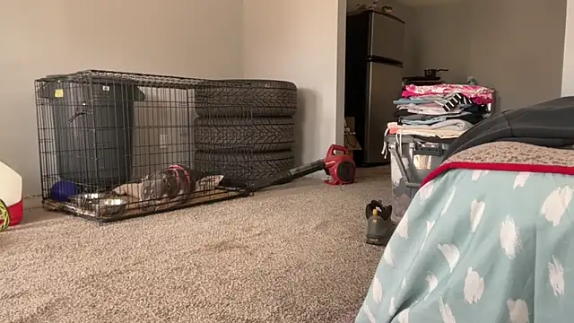 skarfosbabes69 online show from 03-20-26, 04:30