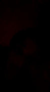 Snapshot of Bigote_Big0357 chatting on 01-12-25, 09:08 Bigote Big0357 online show from 01-12-25, 09:08