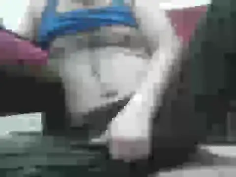 samee00721 online show from 09-15-25, 04:40