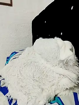 ElizabethWeil online show from 12-15-25, 03:18