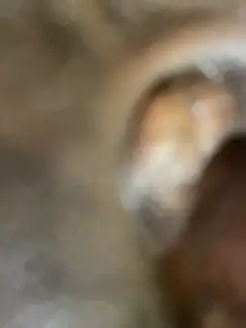 GangsterCouple-Aimy-Jonny online show from 02-10-26, 12:53