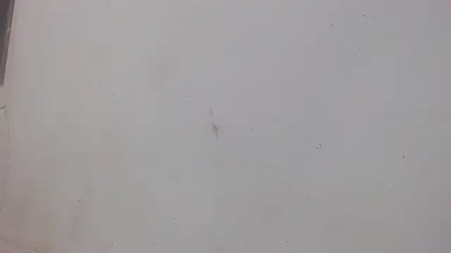 danilo302209 online show from 02-01-25, 01:02