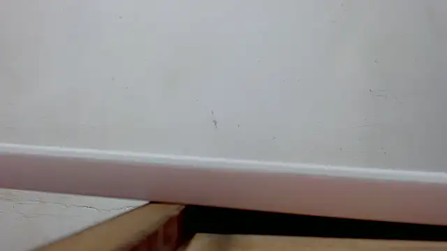 danilo302209 online show from 03-10-25, 10:39