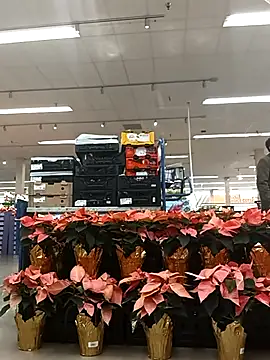 Snapshot of kobrashekyng chatting on 11-14-25, 03:37 kobrashekyng online show from 11-14-25, 03:37