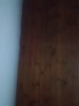 Darly Gomez online show from 02-18-25, 11:52