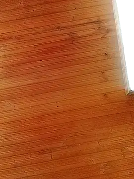 Darly Gomez online show from 03-01-25, 04:00