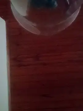 Darly Gomez online show from 02-17-25, 10:16