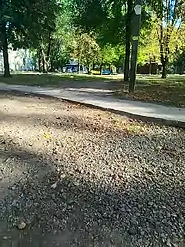 Snapshot of sanek1995sexx chatting on 09-26-25, 12:45 sanek1995sexx online show from 09-26-25, 12:45