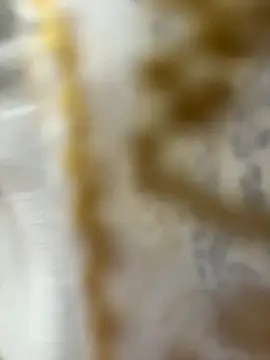 Snapshot of HoneyBearCpl chatting on 10-29-25, 03:33 HoneyBearCpl online show from 10-29-25, 03:33