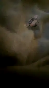 houy111111 online show from 09-23-25, 06:48