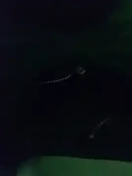 thanos65432 online show from 03-18-26, 05:32