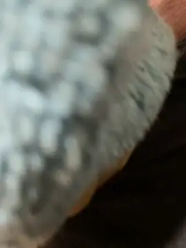 edgher646 online show from 02-27-26, 11:21